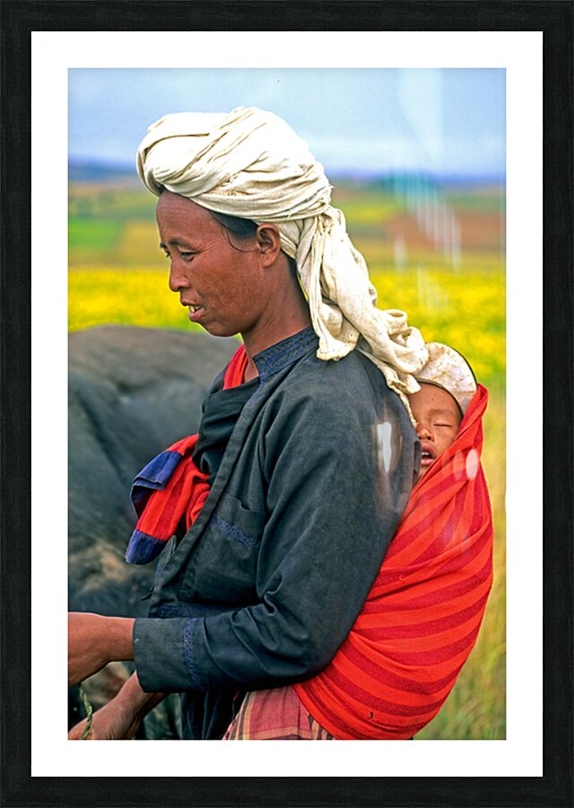 Woman carries son on her back in Myanmar fields Picture Frame print