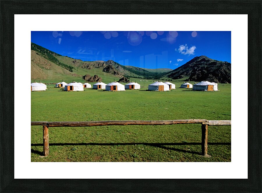 Ger tents in the grassy fields of Mongolia under clear skies Picture Frame print
