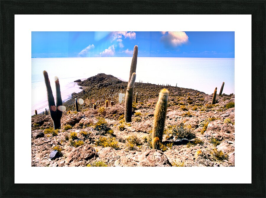 Cactus island in a vast white salt flat under blue sky. Picture Frame print