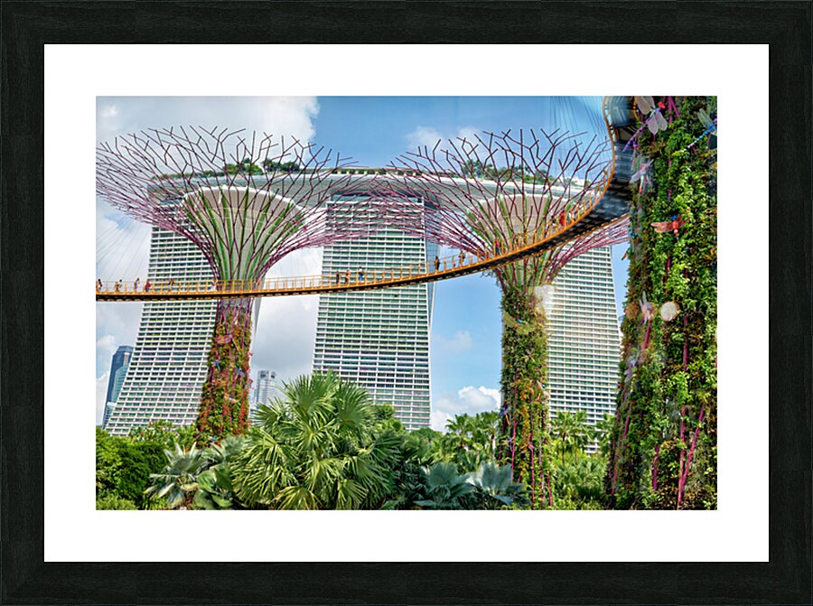People walk on bridge connecting to Supertree Grove in Singapore Picture Frame print