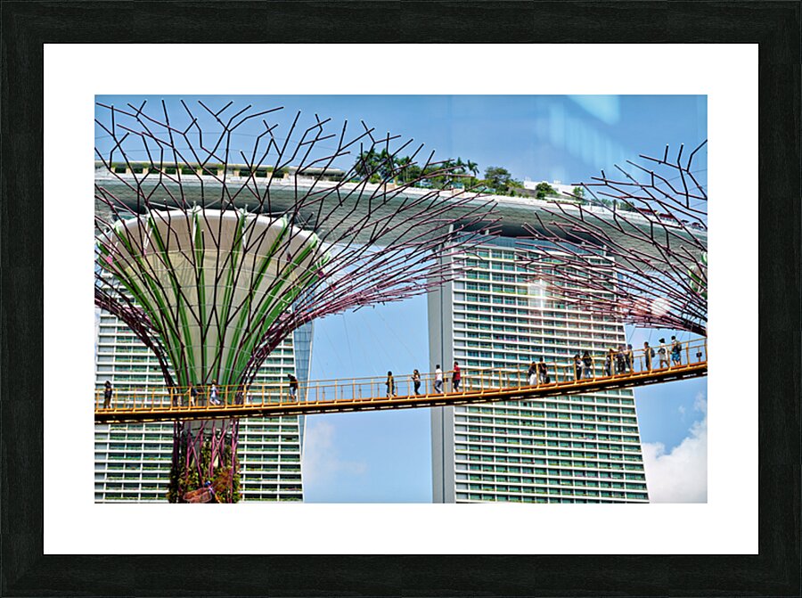 People walk on bridge connecting to Supertree Grove in Singapore Picture Frame print
