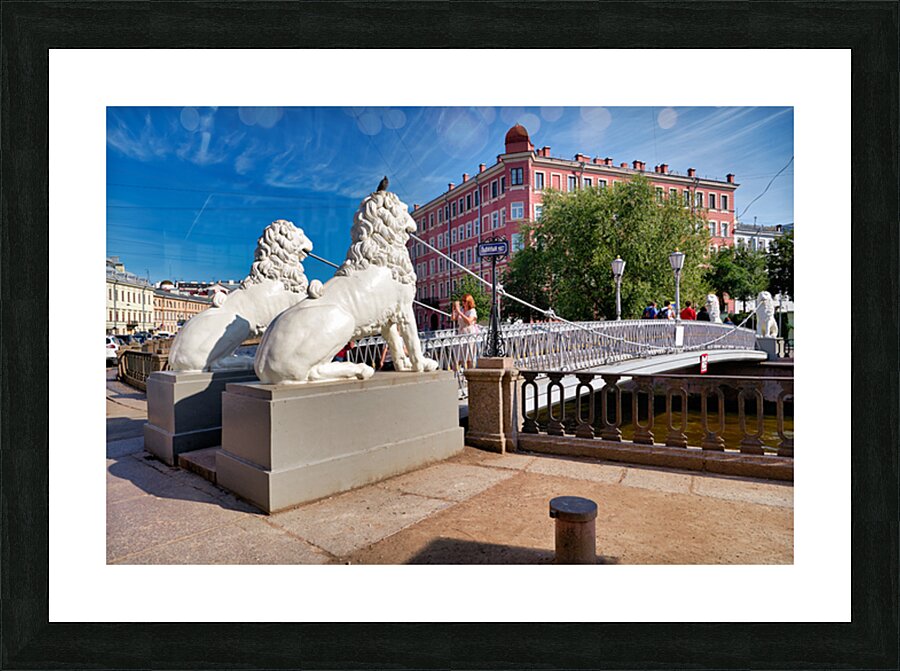 Lions guard the bridge in Saint Petersburg on a sunny day Picture Frame print