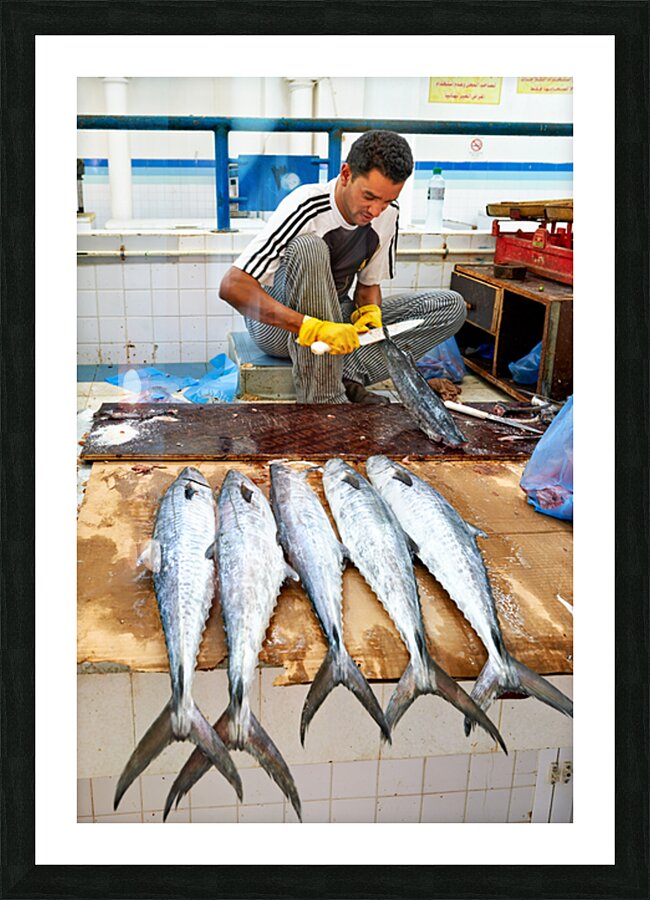 Fish seller prepares catch at Nizwa Oman fish market Picture Frame print
