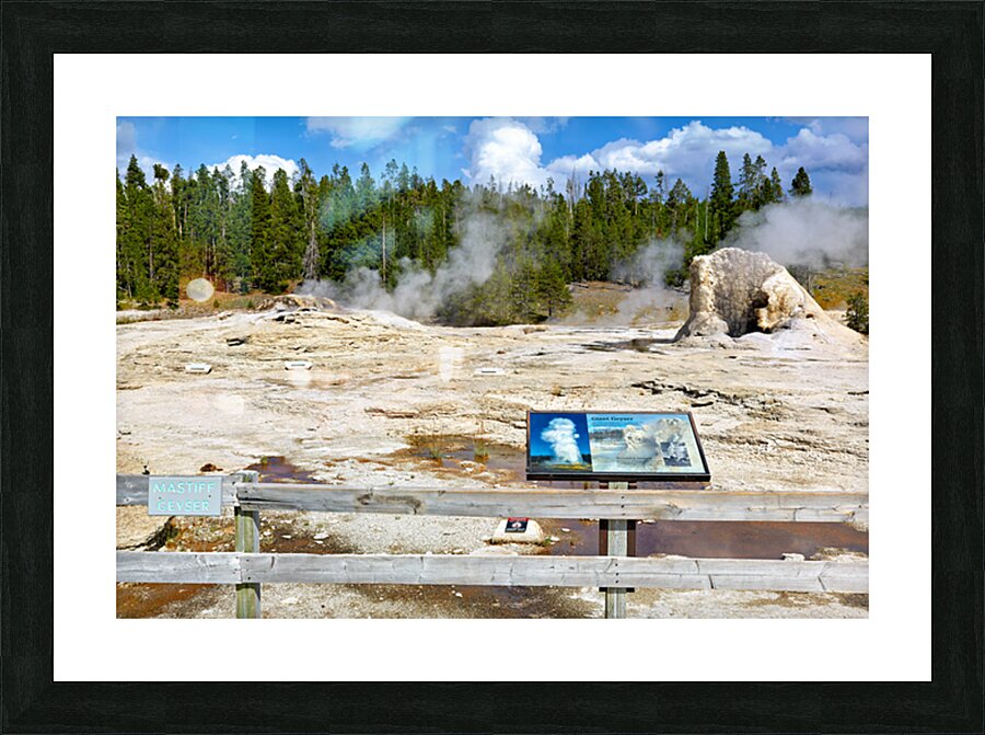 Giant Geyser erupts in Yellowstone National Park during daytime Picture Frame print