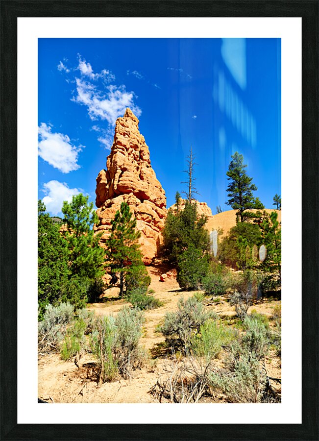 Visit to Dixie National Forest during a sunny afternoon Picture Frame print