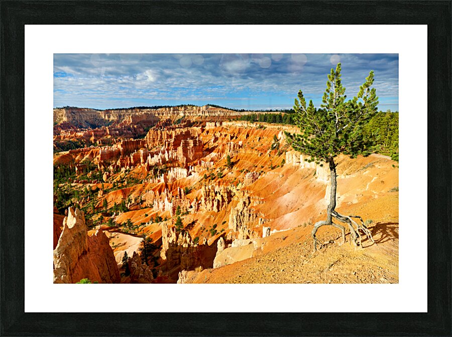 Sunrise at Bryce Canyon National Park near Sunrise Point Picture Frame print