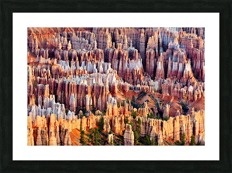 Views from bryce point in bryce canyon national park Impression et Cadre photo