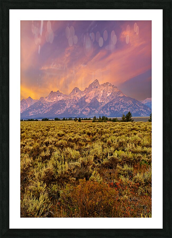 Grand Teton National Park view during the evening light Picture Frame print