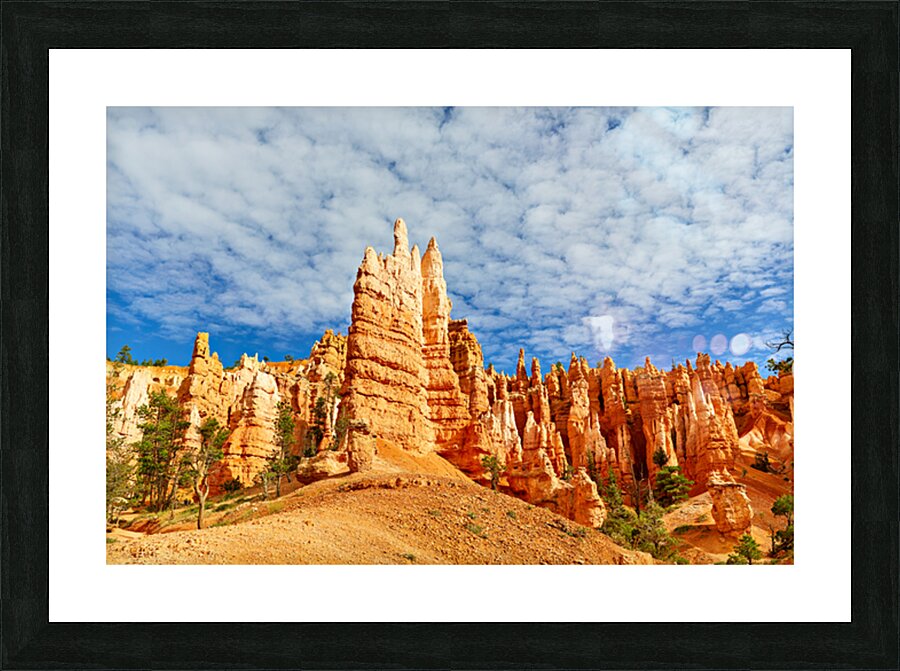 NP USA 00669 Picture Frame print