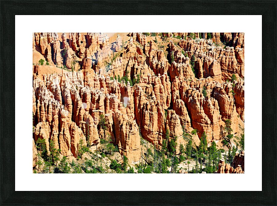 Views of bryce canyon from bryce point in national park usa Picture Frame print