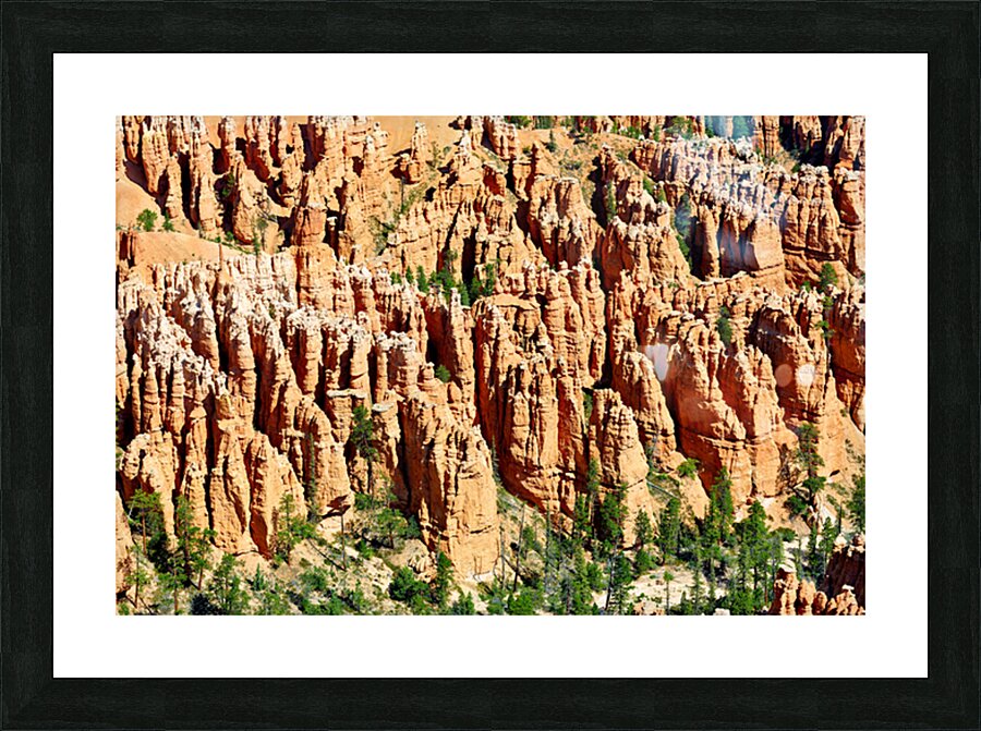 Views of bryce canyon from bryce point in national park usa Picture Frame print