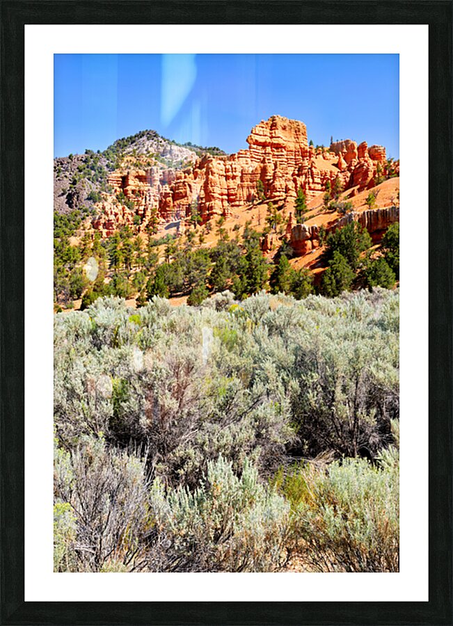 Visit Dixie National Forest in Utah with red rock formations Picture Frame print