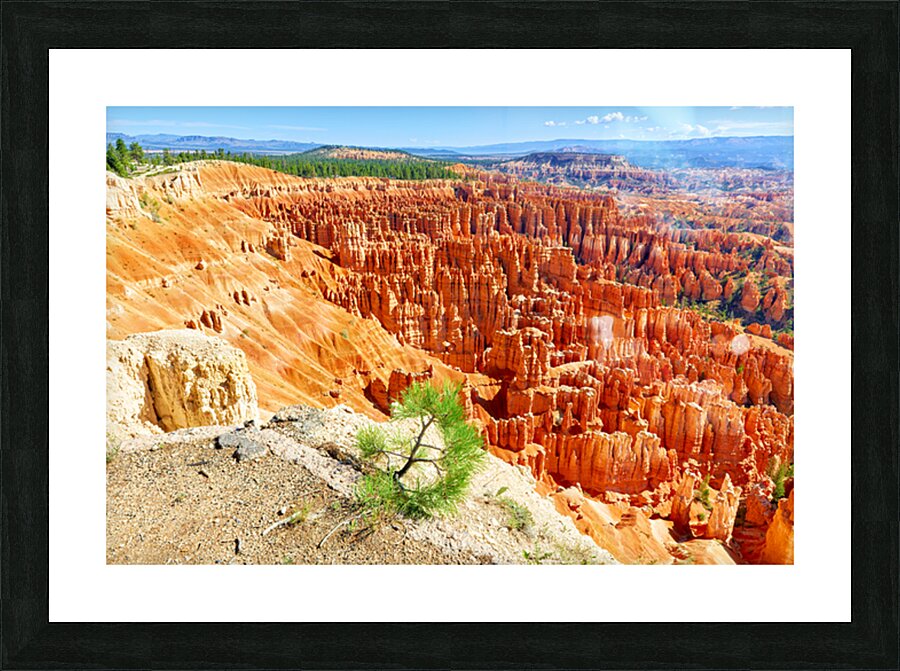 View from inspiration point at bryce canyon national park Picture Frame print