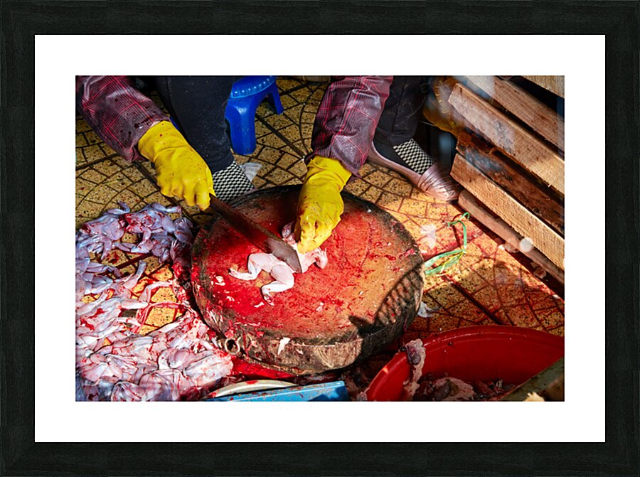 Fresh fish preparation at market in Hanoi during midday Picture Frame print