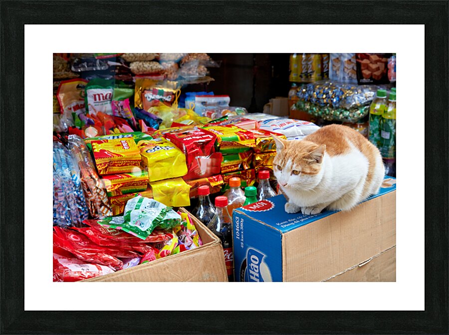 Cat sitting on boxes in Hanoi market during daytime Picture Frame print
