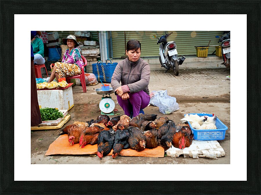 Women selling chickens at market in Phu Quoc Vietnam Picture Frame print