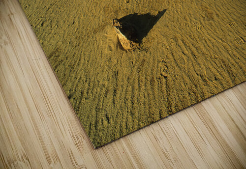 Pinnacles Desert. Nambung National Park. Western Australia Marco Brivio puzzle