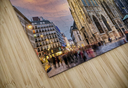 Vienna Austria.St. Stephens Cathedral Marco Brivio puzzle
