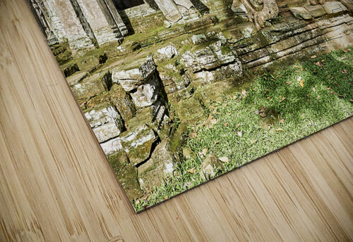 Preah Kahn temple. Siem Reap. Cambodia Marco Brivio puzzle