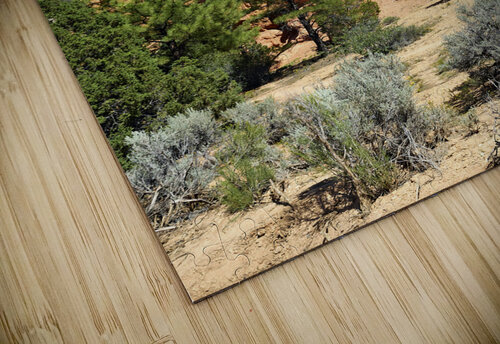Hoodoohs at the Dixie National Forest. Utah. USA Marco Brivio puzzle