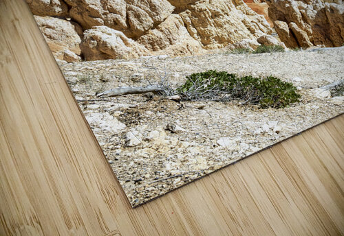Inspiration Point Lookout in the Bryce Canyon National Park. Utah USA Marco Brivio puzzle