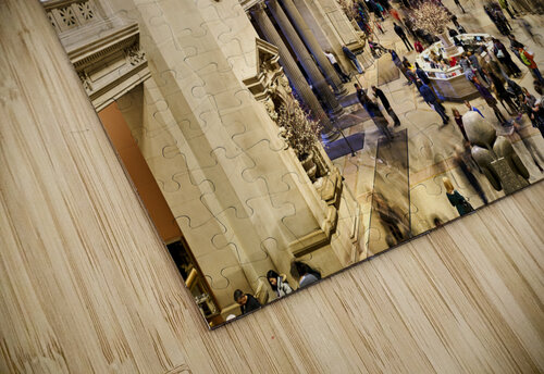 New York. Manhattan. United States. The Metropolitan Museum of Art. The entrance hall Marco Brivio puzzle
