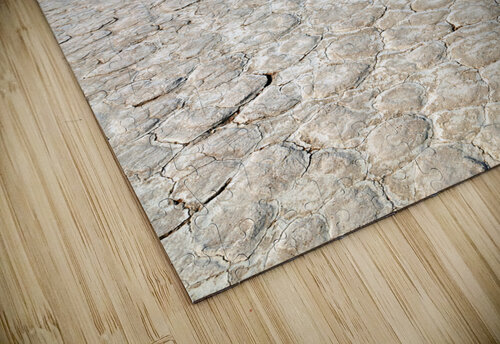 Namibia. Deadvlei clay pan. Namib Naukluft National Park. A dried out dead camel thorn Vachellia erioloba Marco Brivio puzzle