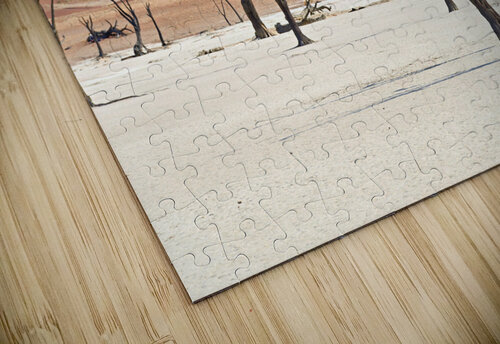 Namibia. Deadvlei clay pan. Namib Naukluft National Park. A dried out dead camel thorn Vachellia erioloba Marco Brivio puzzle