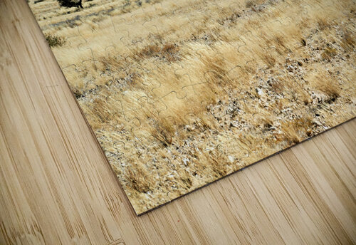 Namibia. Spizkoppe granite peaks in the Namib Desert Marco Brivio puzzle