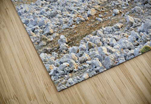 Namibia. Etosha National Park. A Gemsbok Oryx drinking at a waterhole Marco Brivio puzzle