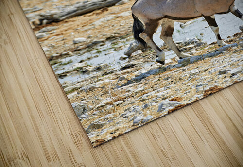 Namibia. Etosha National Park. Gemsbok Oryx Marco Brivio puzzle