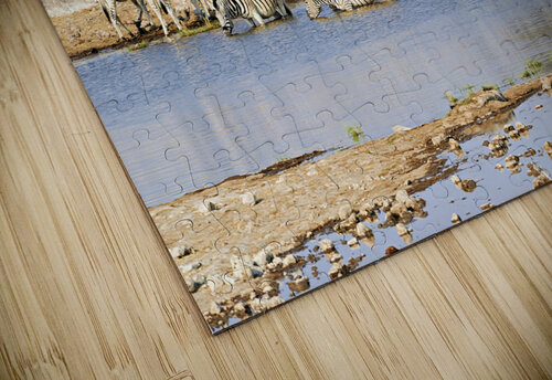 Namibia. Etosha National Park. Zebras drinking at a waterhole Marco Brivio puzzle
