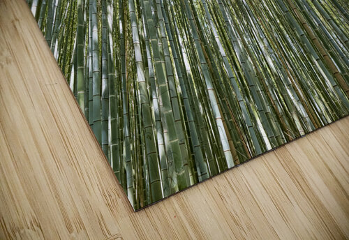 Japan. Kyoto. Arashiyama Bamboo Grove Marco Brivio puzzle