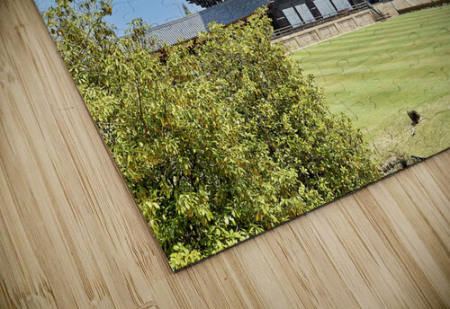 Japan. Nara. Todai-ji temple Marco Brivio puzzle