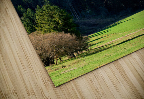 Germany Bavaria Romantic Road. Fussen. Neuschwanstein castle Marco Brivio puzzle
