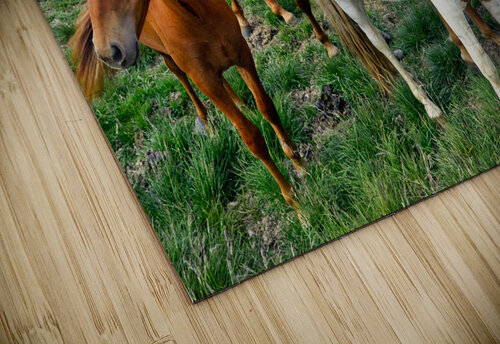 Wild Horses in Iceland Marco Brivio puzzle