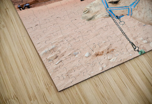 Jordan. Petra archaeological city. Al Khazneh the Treasury Marco Brivio puzzle