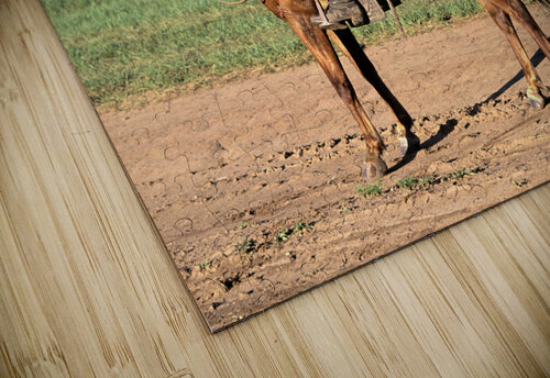 Mongolia. A sheperd riding his horse. Marco Brivio puzzle