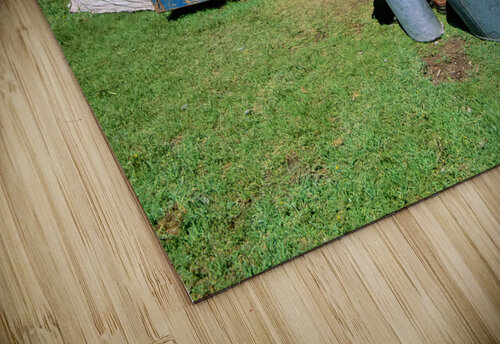 Mongolia. A ger nomadic tent Marco Brivio puzzle