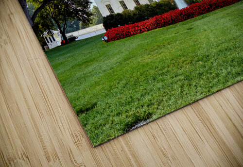 The White House. Washington D.C. Marco Brivio puzzle