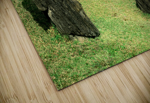 Moai statues at Easter Island Chile. Marco Brivio puzzle