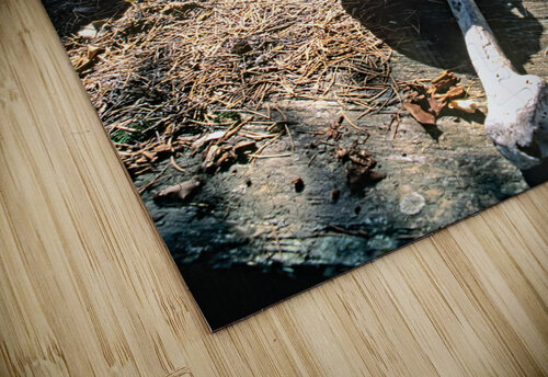 Pakistan. A Kalash cemetery in Bumburet valley Marco Brivio puzzle