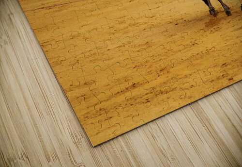 ANDALUSIA SPAIN. Bullfight in Seville Arena Marco Brivio puzzle