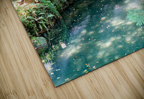 Caserta Campania Italy. The Royal Palace. The bath of Venus Marco Brivio puzzle