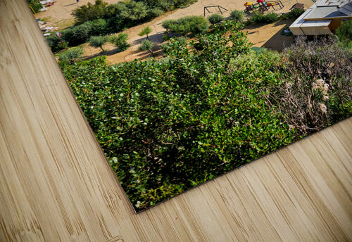 Vieste Gargano. Apulia Puglia Italy. The beach Marco Brivio puzzle