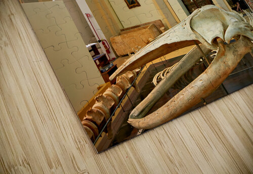 Salento. Apulia Puglia Italy. Gallipoli. Civic Museum Emanuele Barba Marco Brivio puzzle