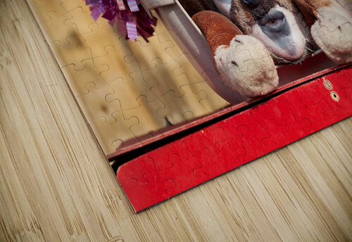 Venice Italy. The Carnival Marco Brivio puzzle