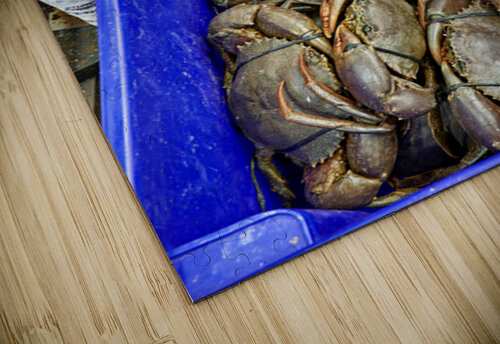 Large Mud Crabs for sale at $76.99 per kg. Marco Brivio puzzle