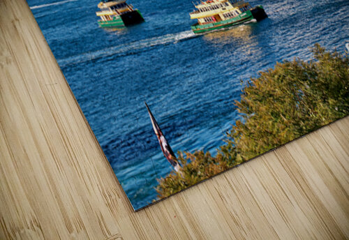 Sydney Opera House and ferries on a sunny day. Marco Brivio puzzle