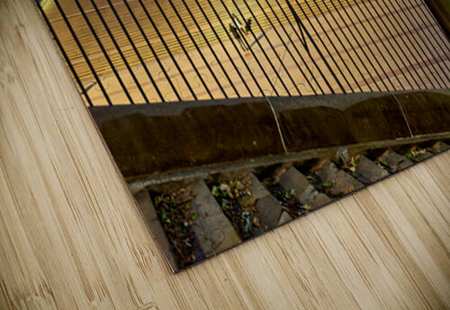 Sydney Opera House illuminated at dusk with crowds on steps. Marco Brivio puzzle